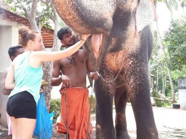Mohans Ayurvedic Beach Resort Варкала Экстерьер фото